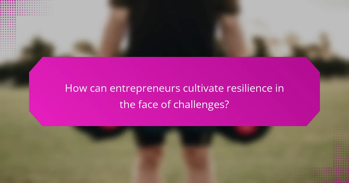 How can entrepreneurs cultivate resilience in the face of challenges?