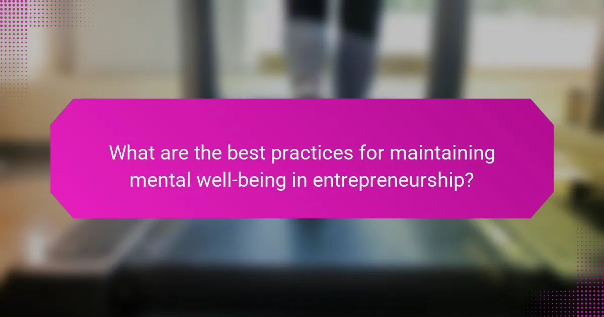 What are the best practices for maintaining mental well-being in entrepreneurship?