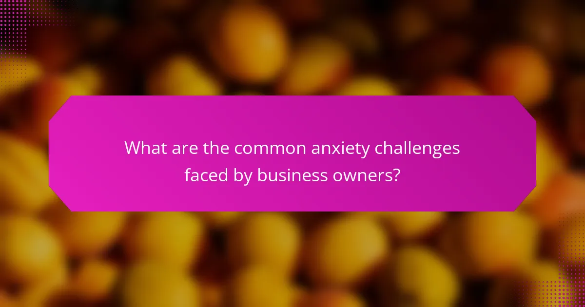 What are the common anxiety challenges faced by business owners?