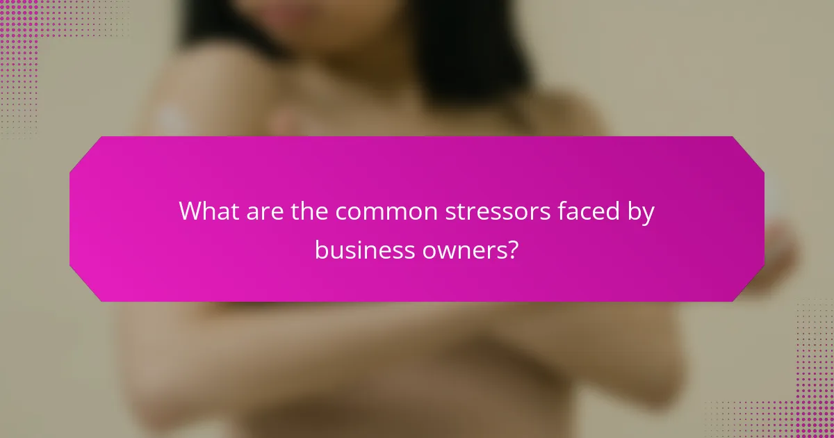 What are the common stressors faced by business owners?