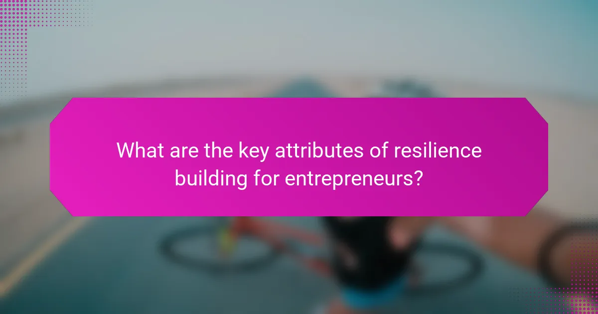 What are the key attributes of resilience building for entrepreneurs?