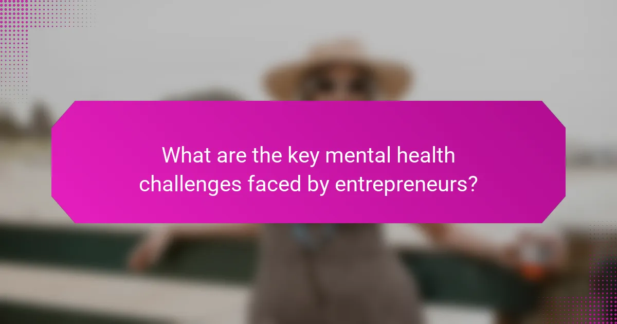 What are the key mental health challenges faced by entrepreneurs?