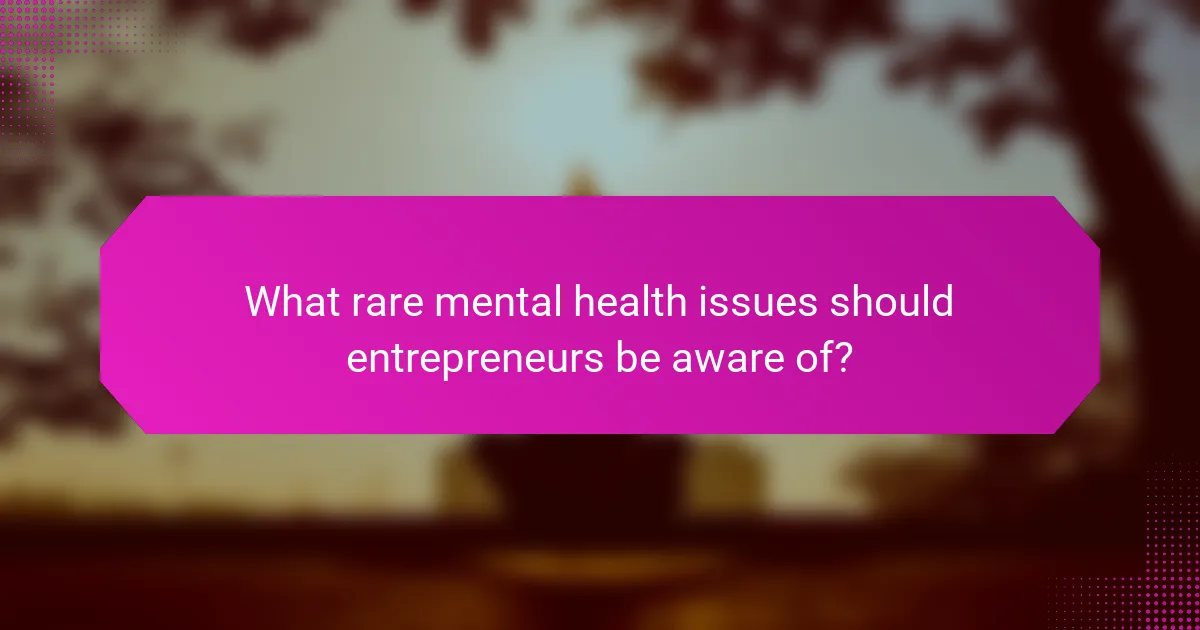What rare mental health issues should entrepreneurs be aware of?