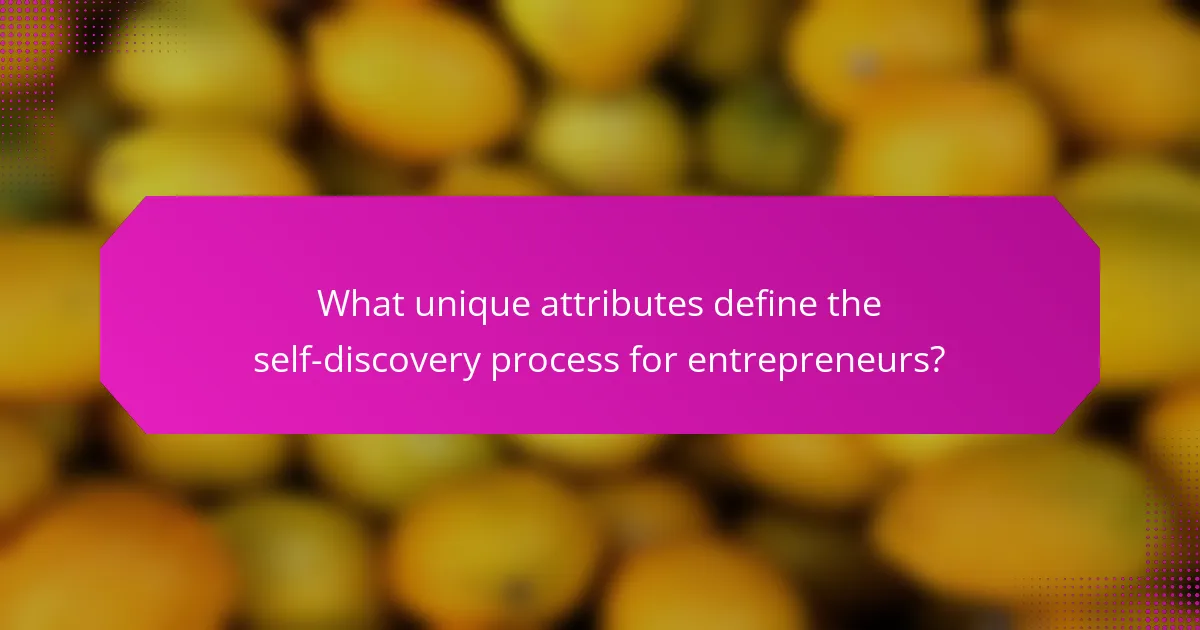 What unique attributes define the self-discovery process for entrepreneurs?