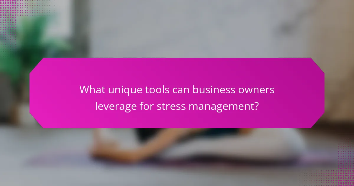 What unique tools can business owners leverage for stress management?