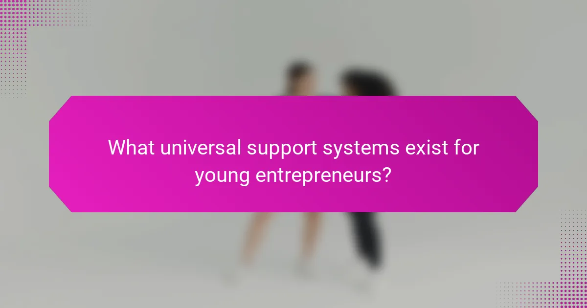 What universal support systems exist for young entrepreneurs?